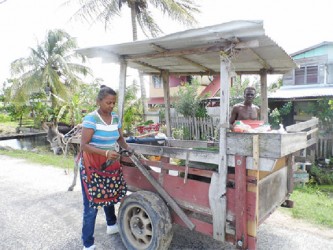 Greens vendor taking her produce to the door steps of her customers