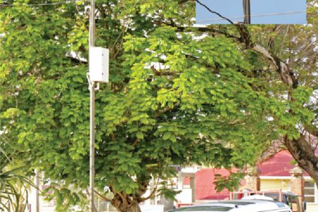 Big brother is watching: Police are now using the CCTV cameras, like the kind pictured here at the junction of Camp and Lamaha streets, to prosecute errant drivers. (Phtotos by Arian Browne)