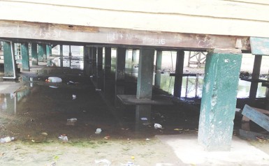  The stagnant water under the building 