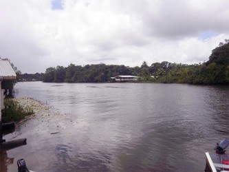 View of the Pomeroon River from the Kabakaburi Mission 