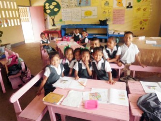 Primary pupils take a break from their lesson to pose for a photo 