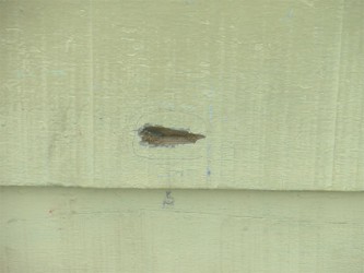 The hole left by the bullet that missed Ryan Sooklall’s body before he was fataly shot on Sunday 