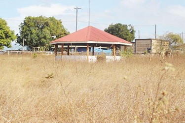 Weeds take over the children’s playpark in Lethem 