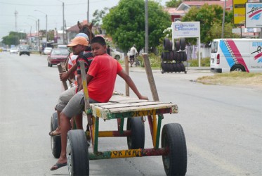 A young boy enjoys a horse-cart ride 