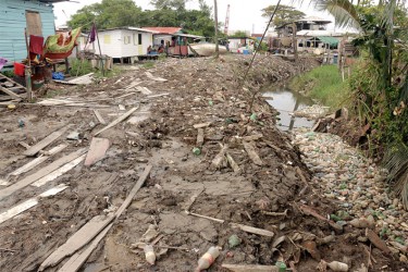 Pollution in Ruimveldt 