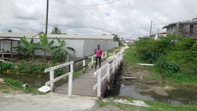 The bridge linking Kaneville and Samatta Point. 