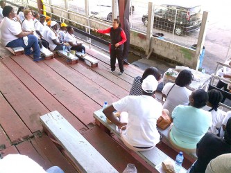 Speaking with a group of Guyanese businesswomen in the National Park recently