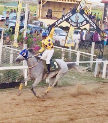 Champion Jockey Rad Drepaul punches the air while guiding Score’s Even to an eight-length win in the feature A and Lower event at the Kennard’s Memorial Turf Club.  