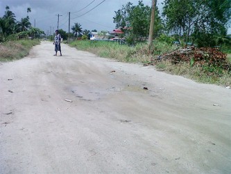  A section of the road in the Present Hope area 
