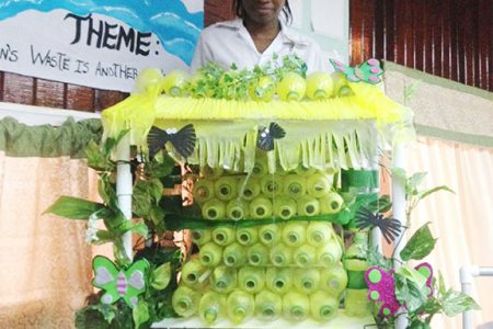The winning entry in preliminary round of the Technological Skills Competition held at the Carnegie School of Home Economics on Thursday. The “Tropical Waterfall” was created using PVC pipes and water bottles.
