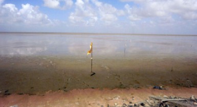 A view of the Essequibo River from La Belle Alliance 