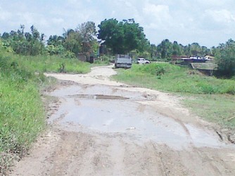A section of the access road which connects Naamryck Backdam to Parika Backdam.