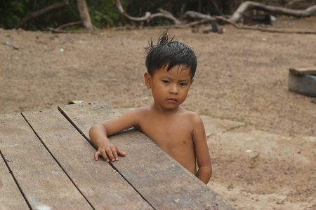 A young Amerindian boy gazes off into the distance, without paying any attention to the camera. 
