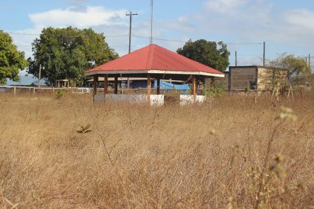 Weeds take over the children’s playpark in Lethem