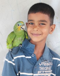 Little Joshua and his pet parrot 