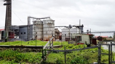 The Caricom Rice Mill, the largest in Guyana, doesn’t buy sample paddy, which is a lower grade of paddy due to its higher percentage of damage. Farmers note that the paddy bug has ruined large portions of this crop so the sale of paddy is very dependent on whether millers are willing to purchase damaged paddy. 