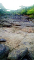 No water underneath the Rupununi River Bridge at Karaudarnau.