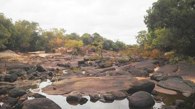 When the river stops flowing: Only a little water remains in pools in this part of the Rupununi River at Karaudarnau, Deep South Rupununi, which has been hit by severe drought.  