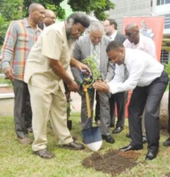 Professor Archibald McDonald (second left, foreground), pro vice-chancellor and principal of the University of the West Indies, assists Minister of Science Phillip Paulwell in planting a ganja seedling at Monday’s launch for the symbolic planting of the first legal marijuana plant at Lecture Theatre Two, Faculty of Medical Sciences Teaching and Research Complex. Also taking part are Louis Moyston (left, foreground), research fellow, UWI; Courtney Betty (left, back row), Timeless Herbal Care president and CEO; Jamaica Labour Party representative Delano Seiveright (second left, back row); and Basil Hylton, herbalist.