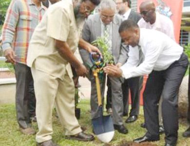 Professor Archibald McDonald (second left, foreground), pro vice-chancellor and principal of the University of the West Indies, assists Minister of Science Phillip Paulwell in planting a ganja seedling at Monday’s launch for the symbolic planting of the first legal marijuana plant at Lecture Theatre Two, Faculty of Medical Sciences Teaching and Research Complex. Also taking part are Louis Moyston (left, foreground), research fellow, UWI; Courtney Betty (left, back row), Timeless Herbal Care president and CEO; Jamaica Labour Party representative Delano Seiveright (second left, back row); and Basil Hylton, herbalist.
