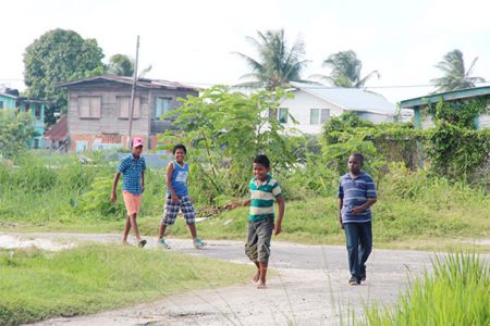 Boys on a mission: Village boys seeking fun
