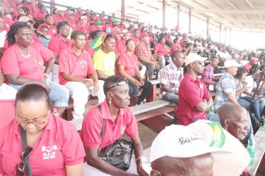 Some of the workers who were at the FITUG Labour Day rally, held at the National Park yesterday. (Arian Browne photo)