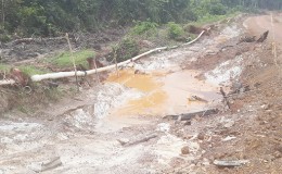 A section of the exposed water pipeline along Waterdog Road from the Salbora Falls, Mahdia access road to North Fork, Region Seven. 