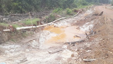 A section of the exposed water pipeline along Waterdog Road from the Salbora Falls, Mahdia access road to North Fork, Region Seven. 