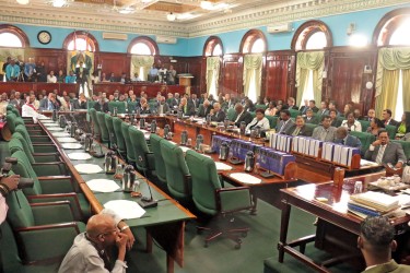 The empty opposition benches are to the left. (Arian Browne photo)