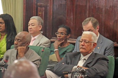 Venezuela’s Ambassador to Guyana Reina Margarita Arratia Diaz (seated at centre in back row)  listening to Foreign Minister Carl Greenidge 