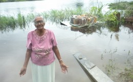 Dashri Singh of Pine Ground, Mahaicony Creek with her flooded garden behind her today.