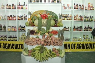 Fresh fruit and vegetables take pride of place in the Ministry of Agriculture’s booth at GuyExpo last year. (SN file photo)