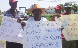 Head of the Essequibo Paddy Farmers Association Naith Ram (second, left) and other rice farmers protesting in February this year. (SN file photo)
