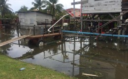 A horse cart used as a makeshift bridge by residents after water did not recede at Industry (Keno George photo)

