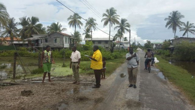 A team from the Guyana Livestock Development Authority conducting assessments along the East Coast of Demerara (NEOC photo)