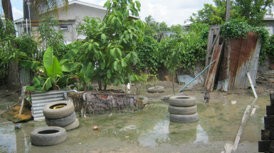 A section of Kissoon’s swamped back yard