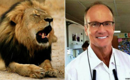 Cecil the lion and Walter Palmer

