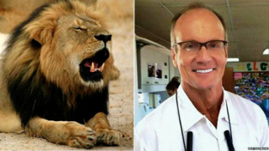 Cecil the lion and Walter Palmer 