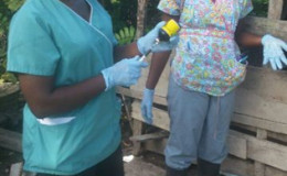 Staff of the Guyana Livestock and Development Authority administering vaccines to cattle in the affected area (NEOC photo)