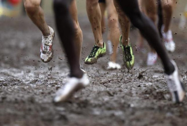 Competitors run during the men’s senior race at the IAAF World Cross Country Championships in Bydgoszcz in this file photo taken on March 28, 2010. REUTERS/PETER ANDREWS 
