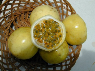 The Passion Fruit