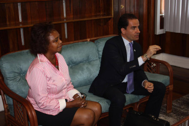 Regional representative of United Nations Office on Drugs and Crime (UNODC) Amado Philip de Andres (right) makes a point during a meeting with Attorney General Basil Williams yesterday. At left is UNDP Resident Representative Khadija Musa.