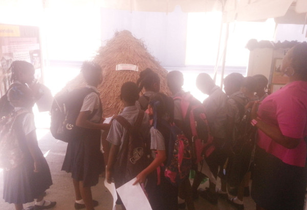 A teacher quizzes her students on the Umana Yana as they view the exhibition. 