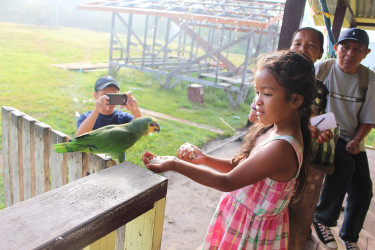 A girl feeds her pet parrot in Jawalla. 