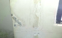 Photos show the mould which is growing on the walls of the Guyana Revenue Authority headquarters on Camp Street.