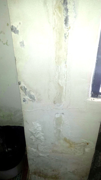 Photos show the mould which is growing on the walls of the Guyana Revenue Authority headquarters on Camp Street.