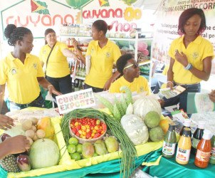 Current exports on display at the World Food Day Agricultural Fair at the Uitvlugt Community Centre Ground  