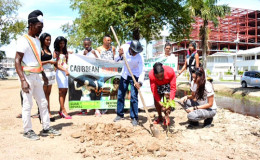 Card headliner, Clive ‘The Punisher’ Atwell assists Minister with responsibility for Sport Nicolette Henry in the planting of one of the trees on Tuesday at the Merriman Mall.