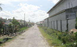 A street at Bath Settlement