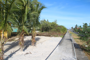 Signs of construction work and clearing at the resort 